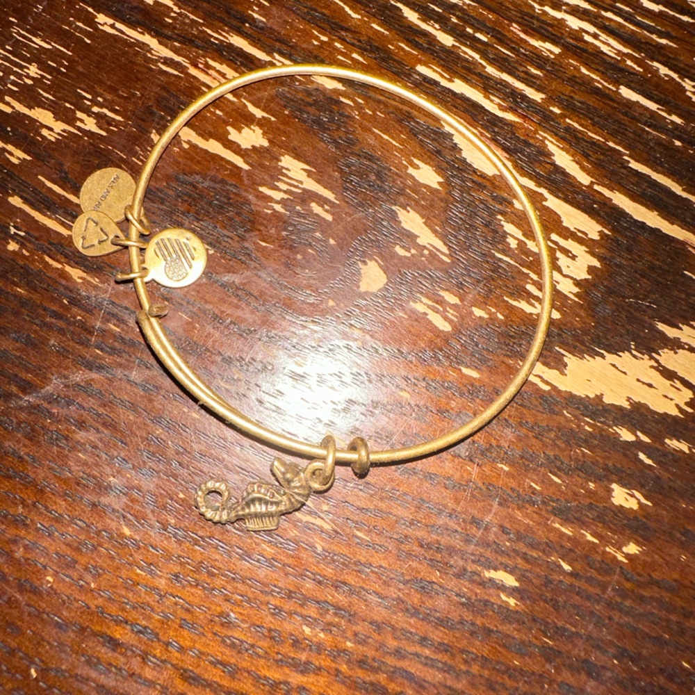 Retired Alex and ani